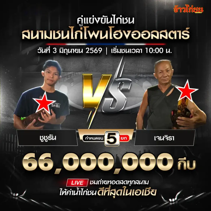 ชูชูรัน vs เจนจิรา สนามชนไก่โพนโฮงออลสตาร์ วันที่ 3 มิถุนายน 2026