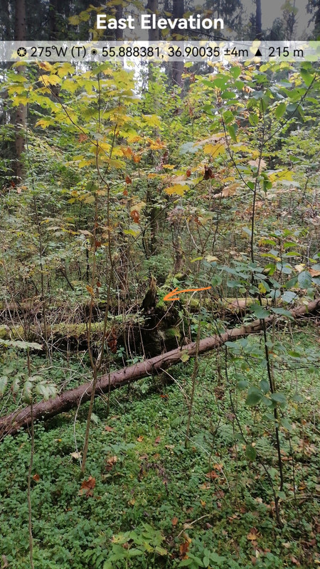 image-2025-09-27-12-29-26_edit_44402444966140