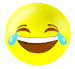 Low Rider WR - Page 4 Smiley-pleure-de-rire