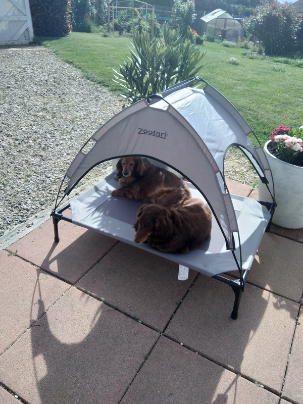 [Image: IMG-20220429-101655.jpg]