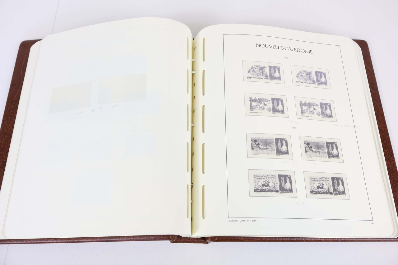 IMG 5362