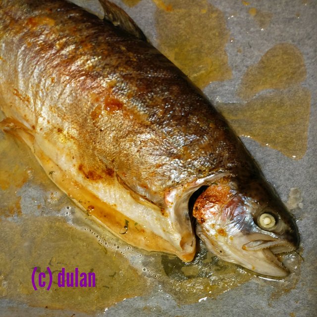 [Image: IMG-20231213-221037.jpg]