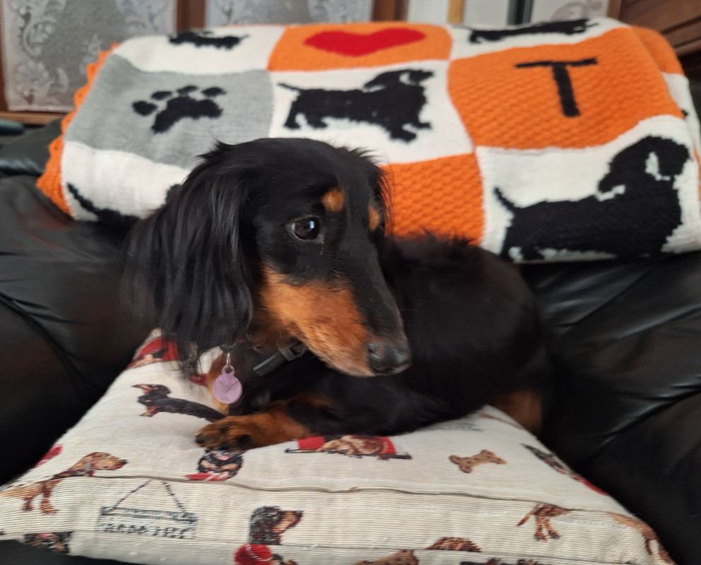 [Image: 20241023-132625.jpg]