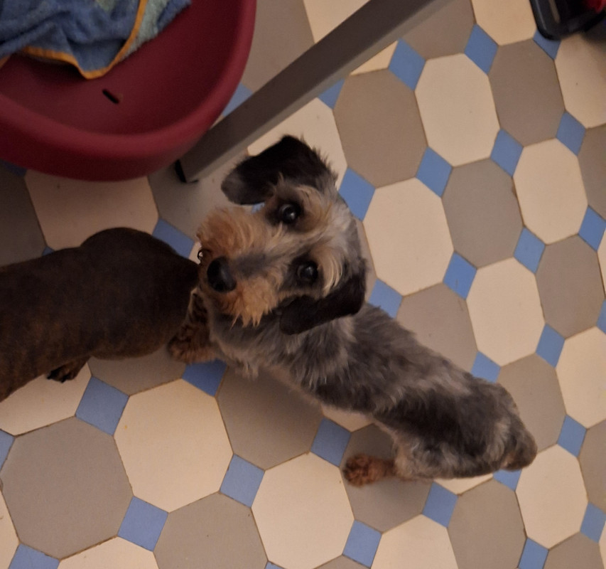 [Image: 20240816-195055.jpg]