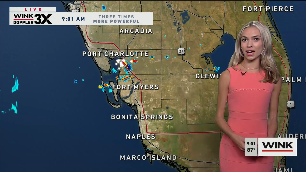 06.17 - 14.00.00 - WINK News at 9 00AM. Morning news..ts_snapshot_03.00.557