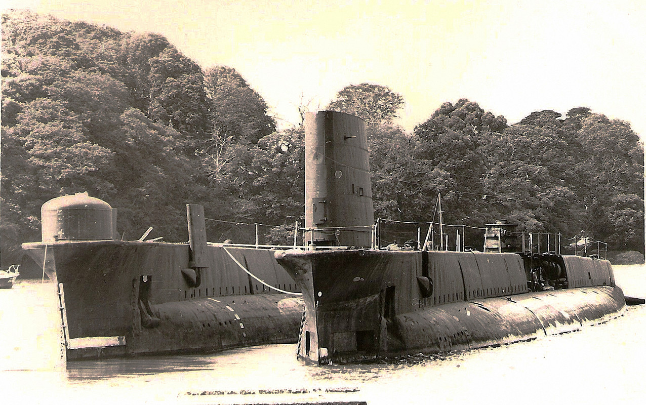 HMS NARWHAL и Cachalot