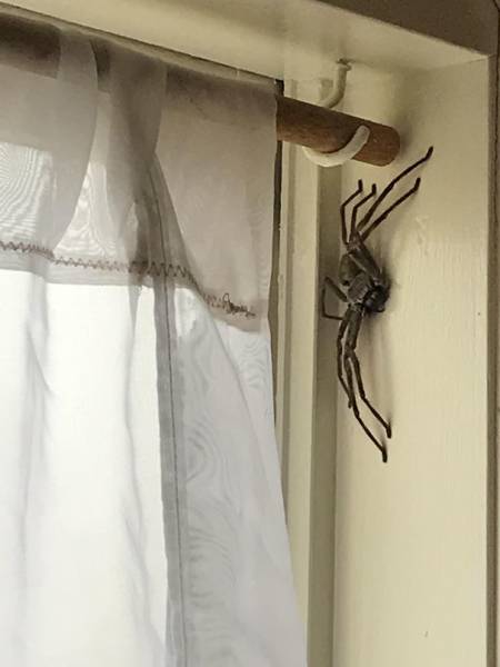 A-Very-Big-Nope