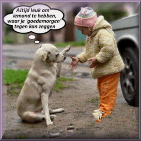 Image Hosted by uploader.be