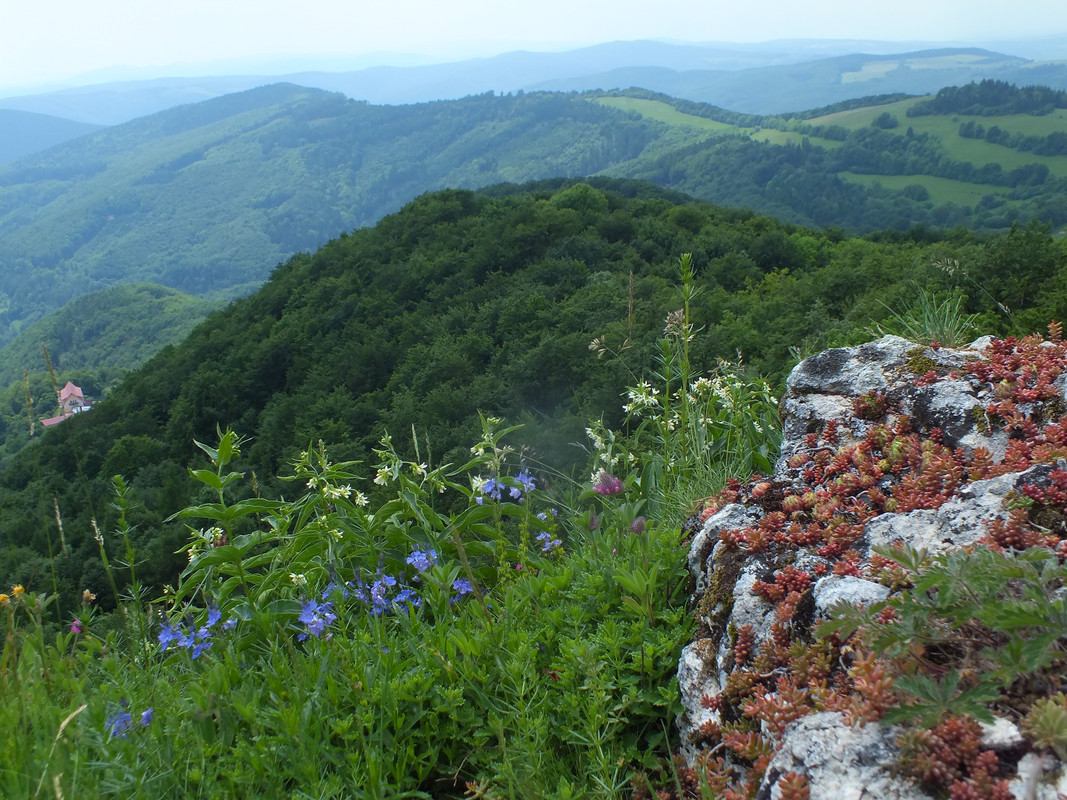 2019_0609STRAŻOWSKIE0035