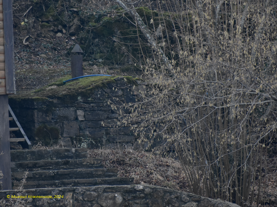 Qurne_kaptage3_Mikh2024