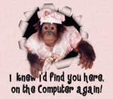 Monkey-Computer