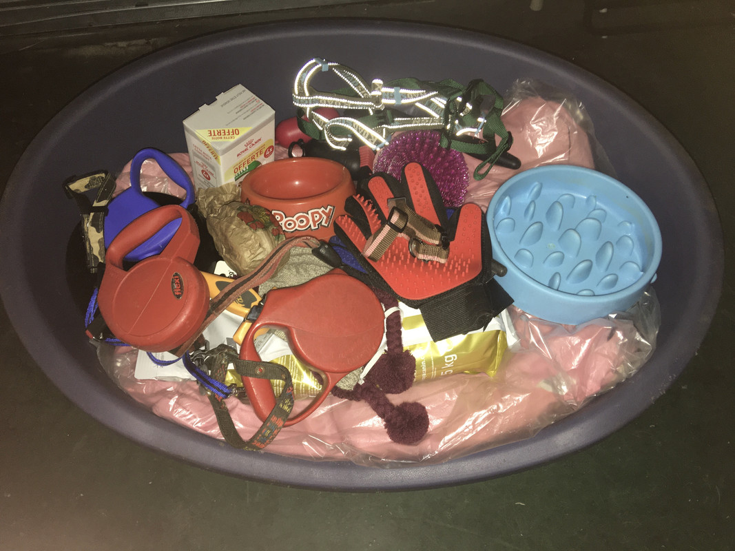 [Image: 0618-CEDE-1842-416-E-A271-A435-D682702-E.jpg]