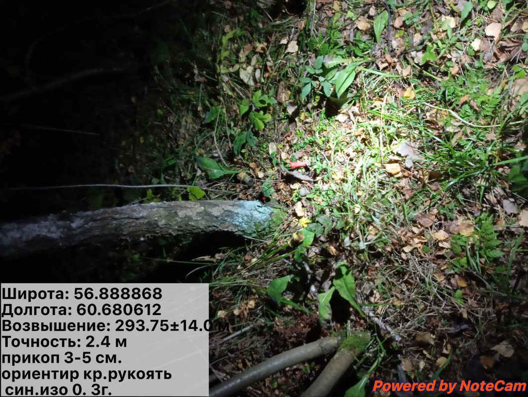 photo_45_2025-10-04_13-57-16