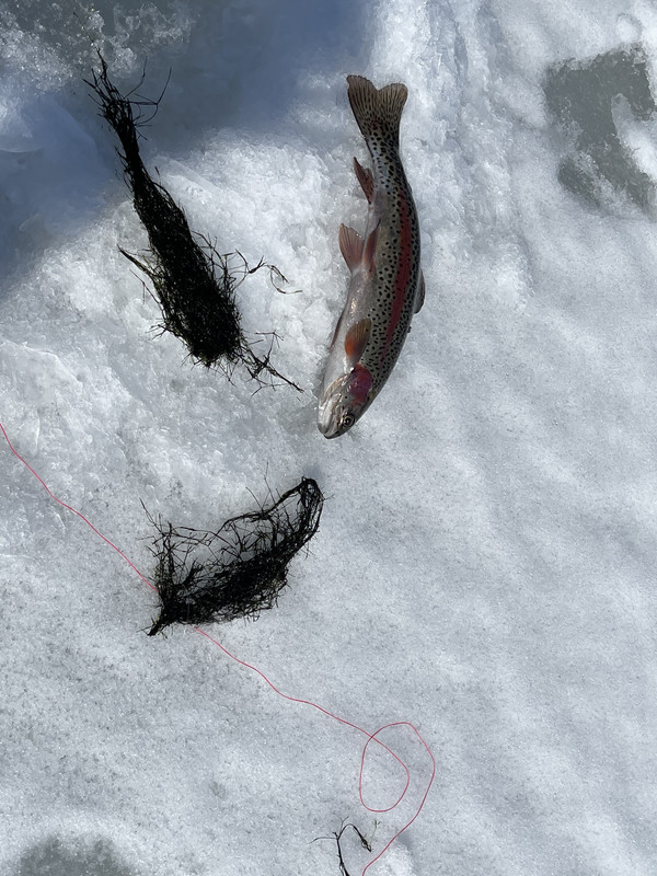 891027C3-8EDD-4B54-BCFC-ECE988804BC8