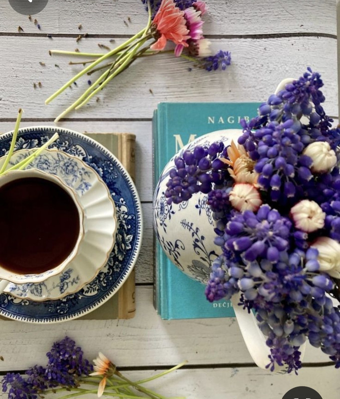 Screenshot_20240506_231508_Pinterest