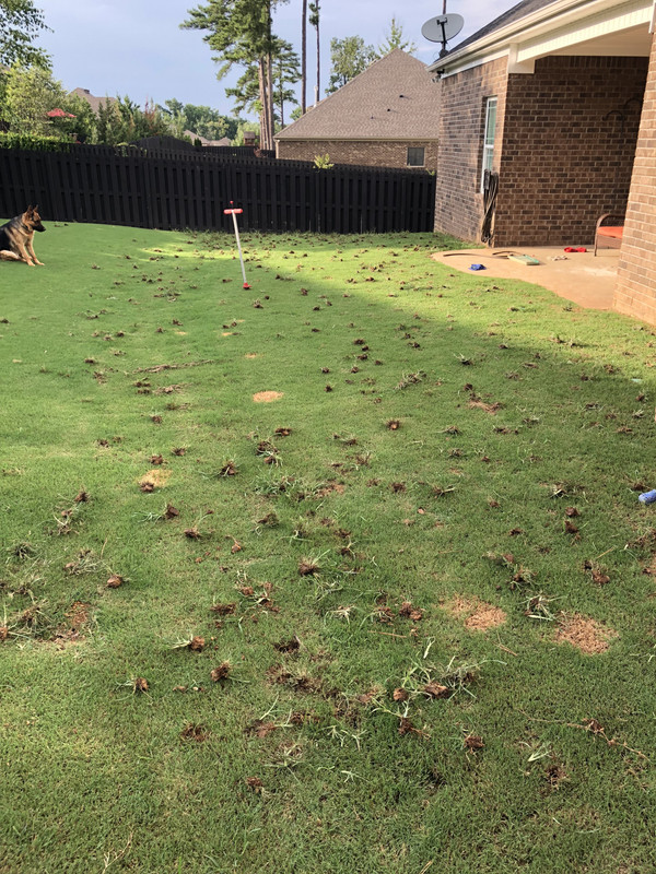 9AC00747-BD8E-43D6-92CD-6C6B8F6C00E4