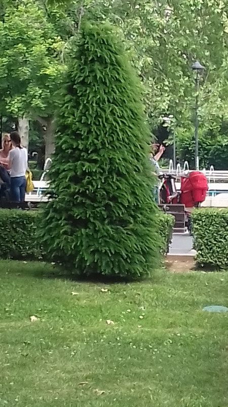 20190527_143843