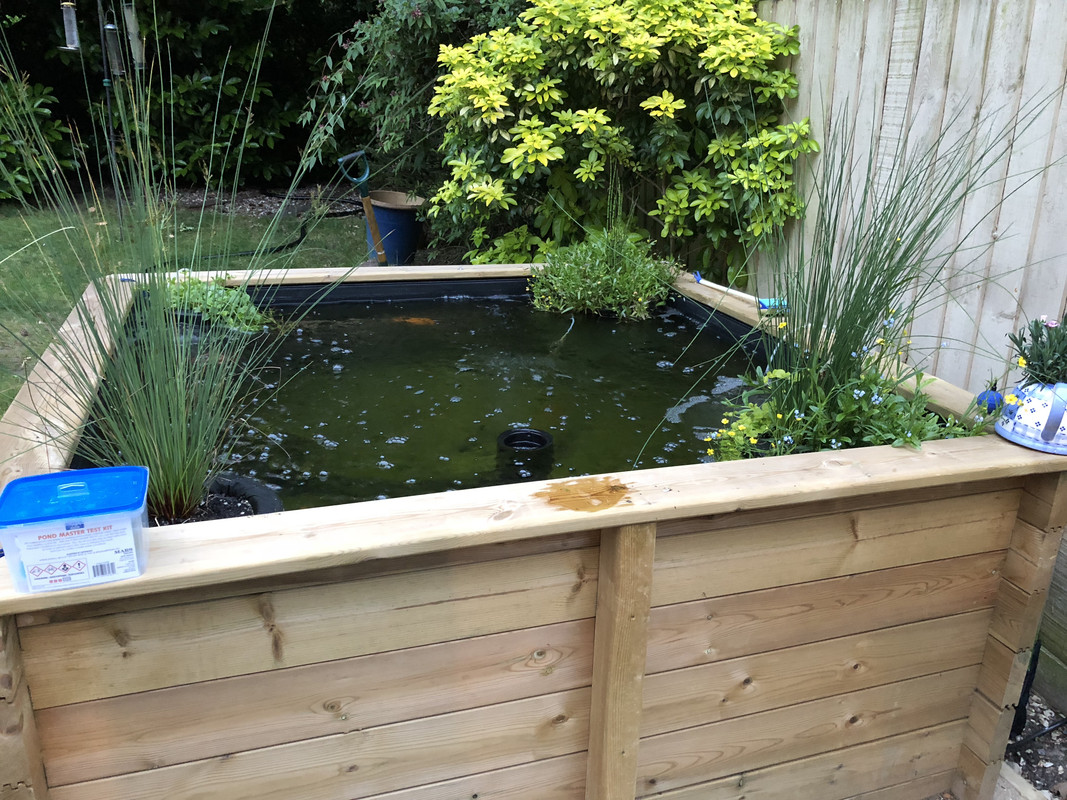 6F0F7261-0E16-4C49-88B0-3B6AE0030DFE