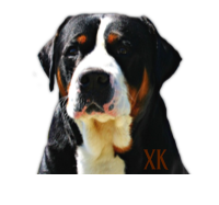XK Tooth and Nail