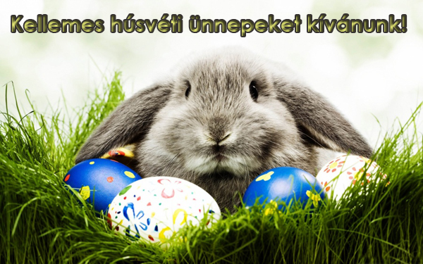 https://i.postimg.cc/k4hXgZwn/kellemes-husveti-unnepeket-2024.jpg