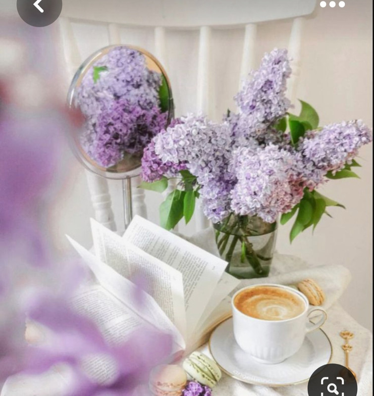 Screenshot_20230603_223414_Pinterest