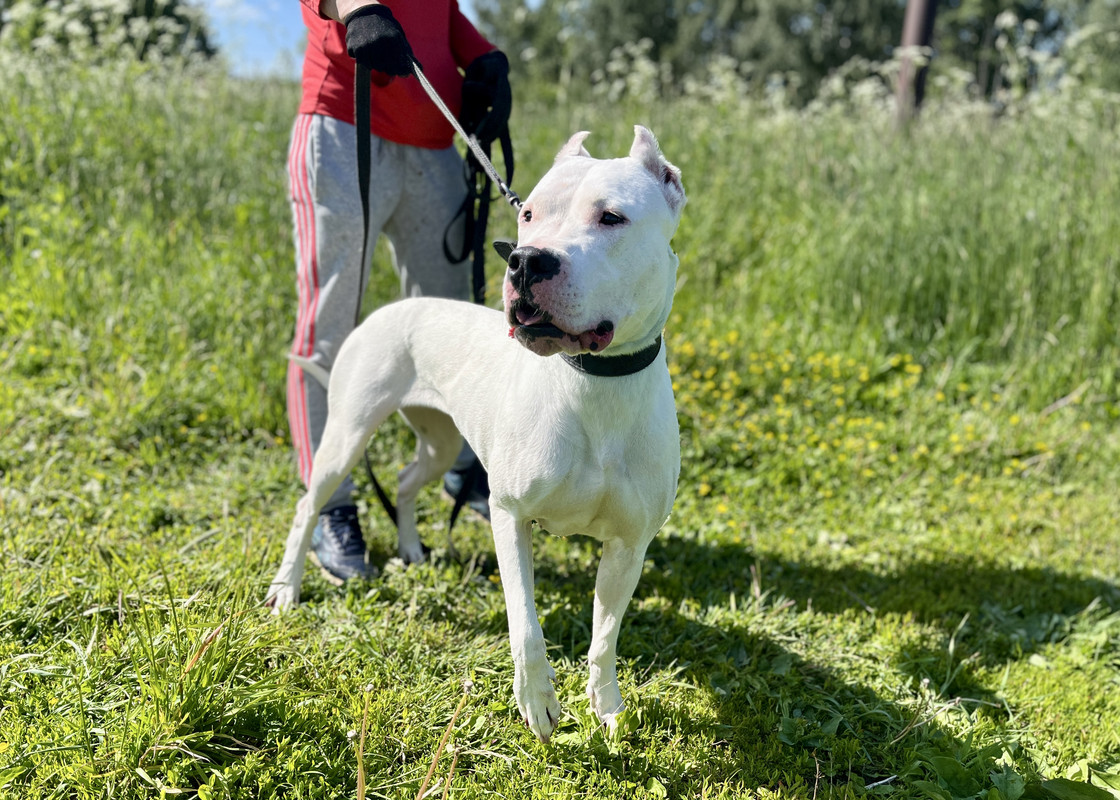 E48821B2-272C-4ABF-AAE9-B98871DB927B