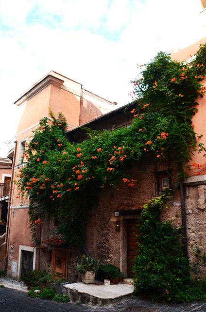 Italia y sus pueblos-2018/2019/2023 - Blogs de Italia - TIVOLI-14 Y 15-9-2023 (244)