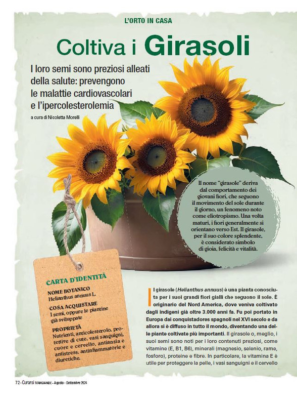 Cur Mang Ago-Set 2024 (11)