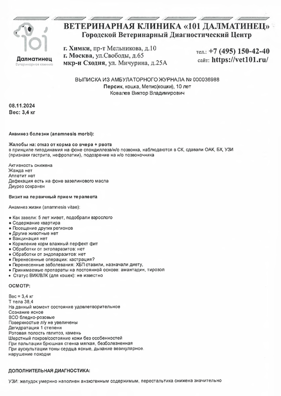 Долматинец осмотр