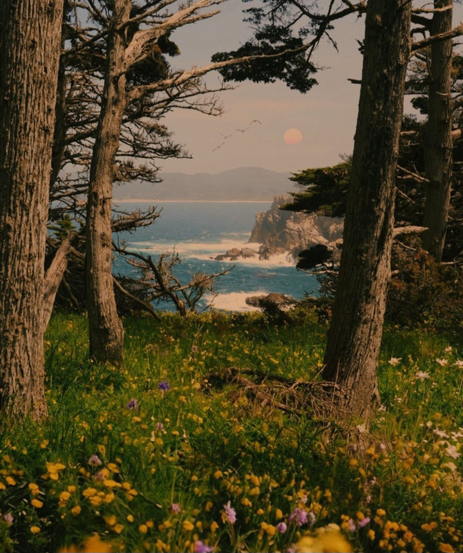 Screenshot_20240426_085231_Threads