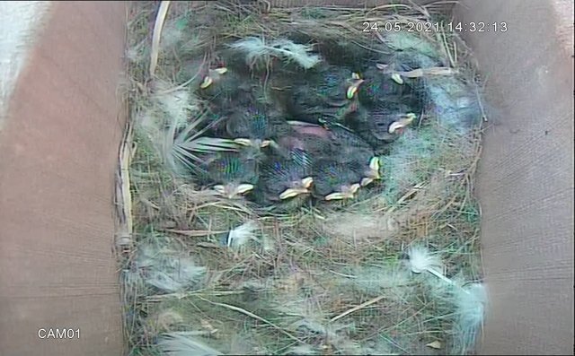 E42E6805-6346-4331-959D-03606A63F77C