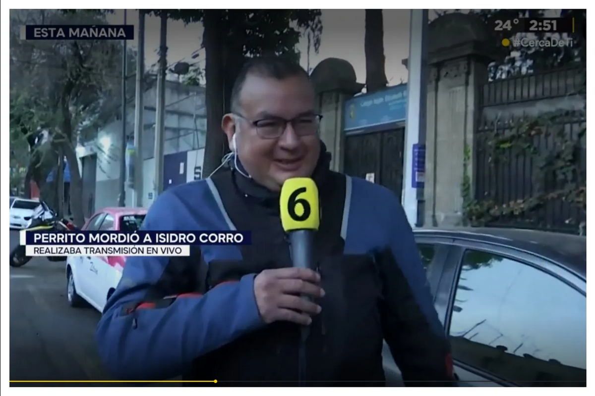 En plena entrevista reportero es mordido por un perrito y se vuelve viral