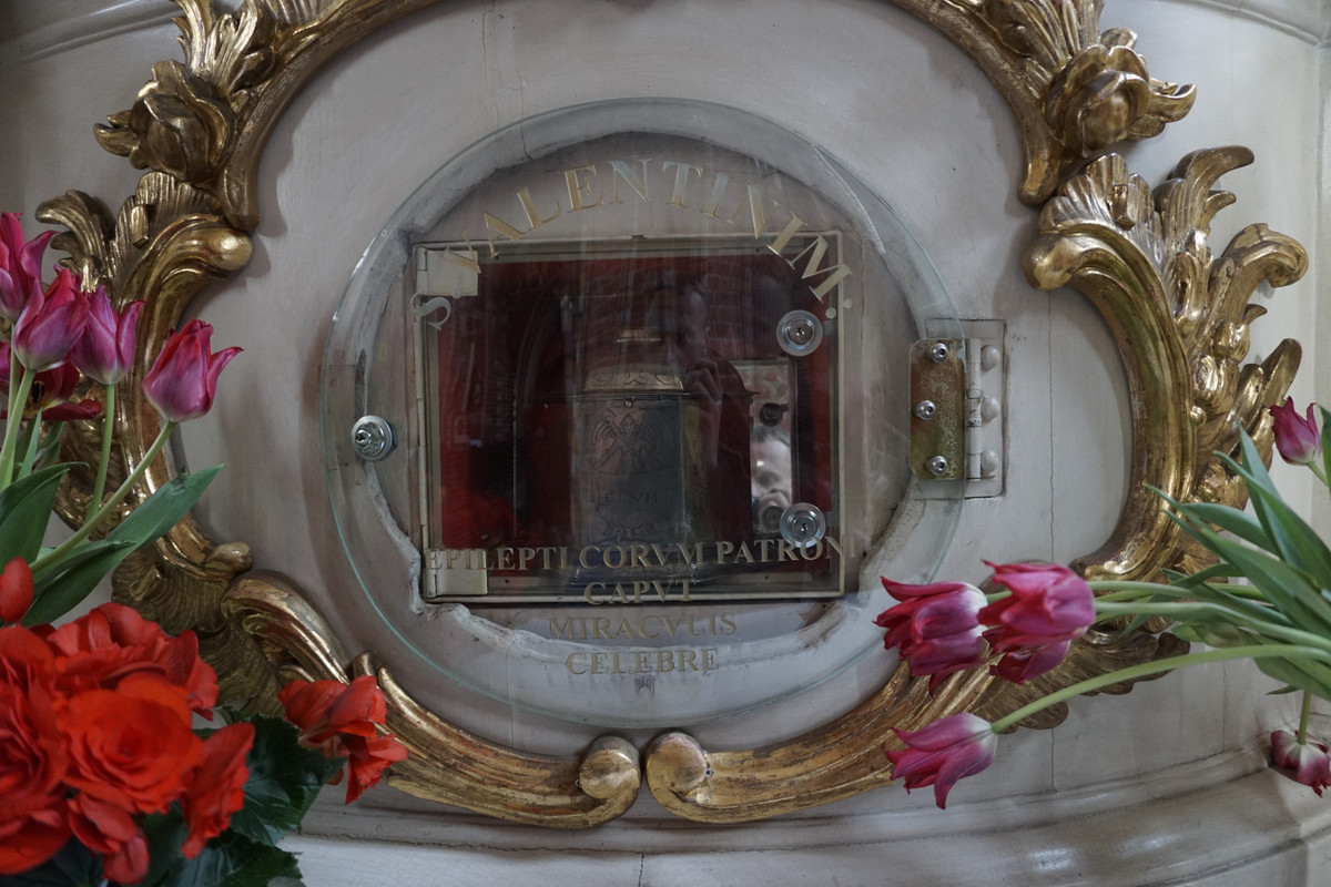 20.37 - DSC08133 (zbychowiec)