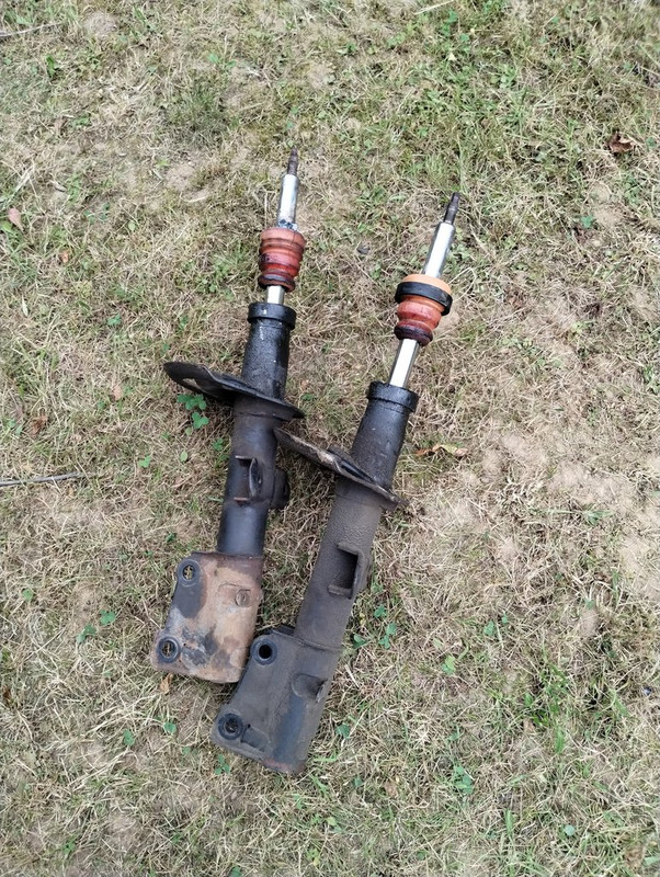 17555257165363316216439624554330