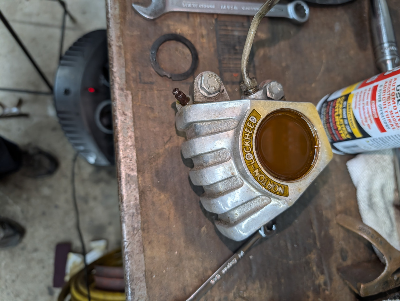 PXL 20251219 194814151