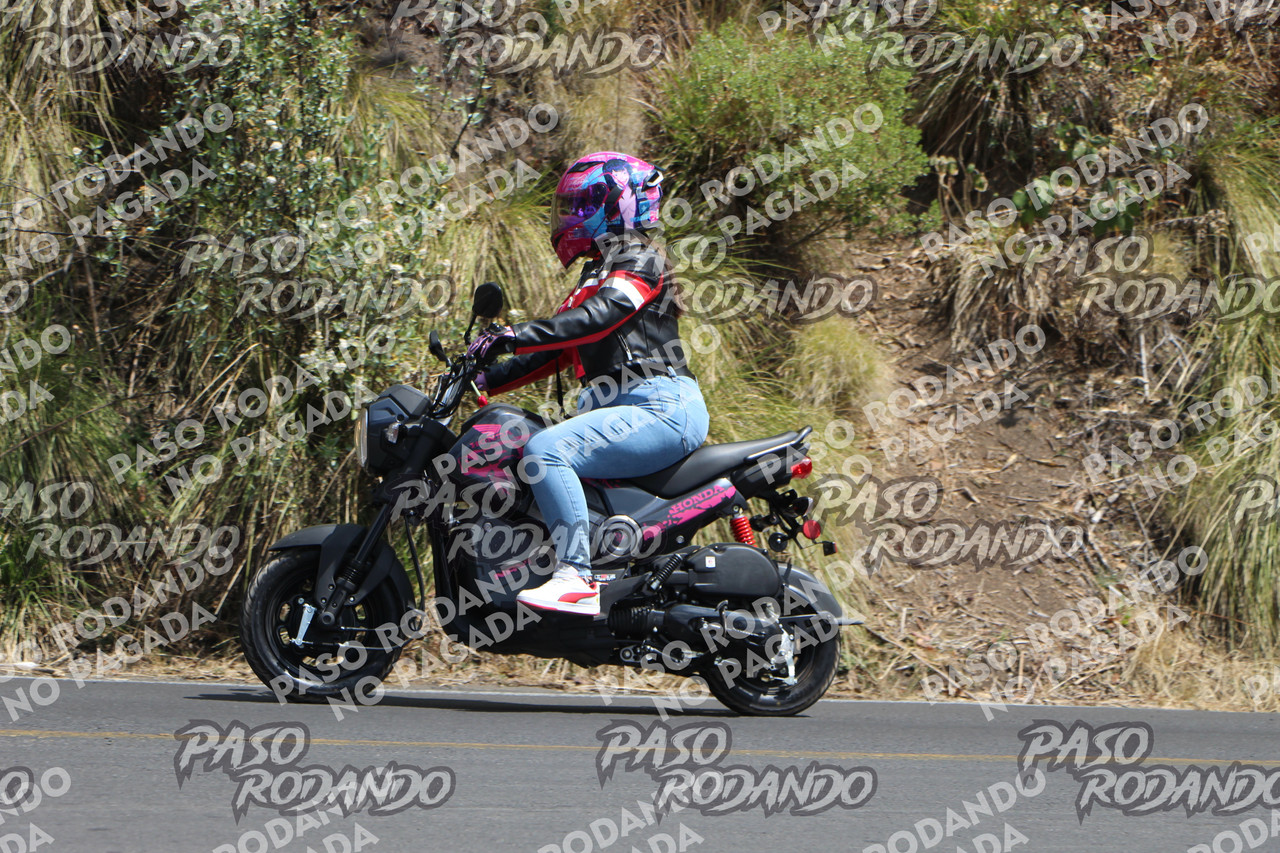 IMG 7574
