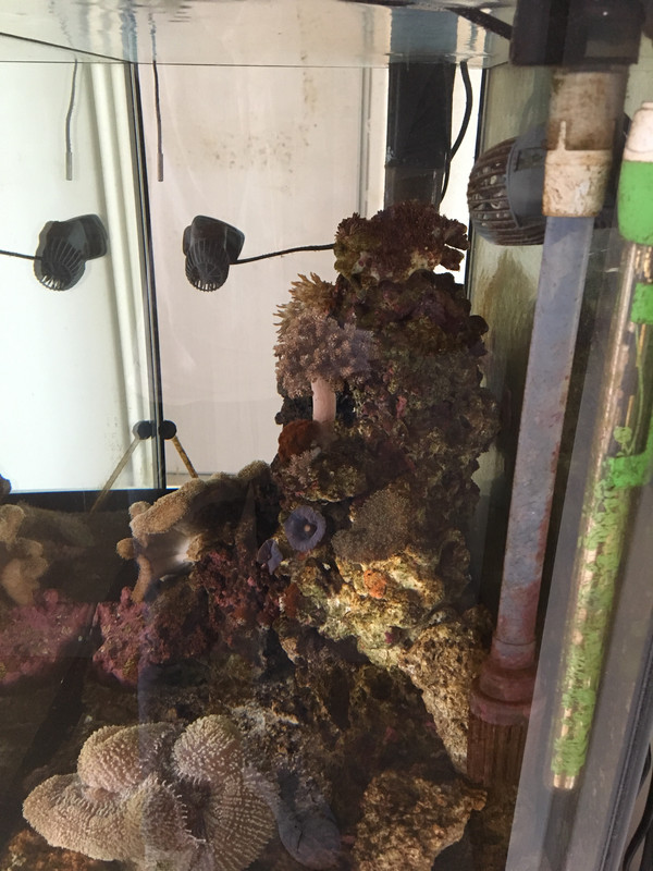 3D3E0CEB-5036-42EC-8554-7F7041F8C09D