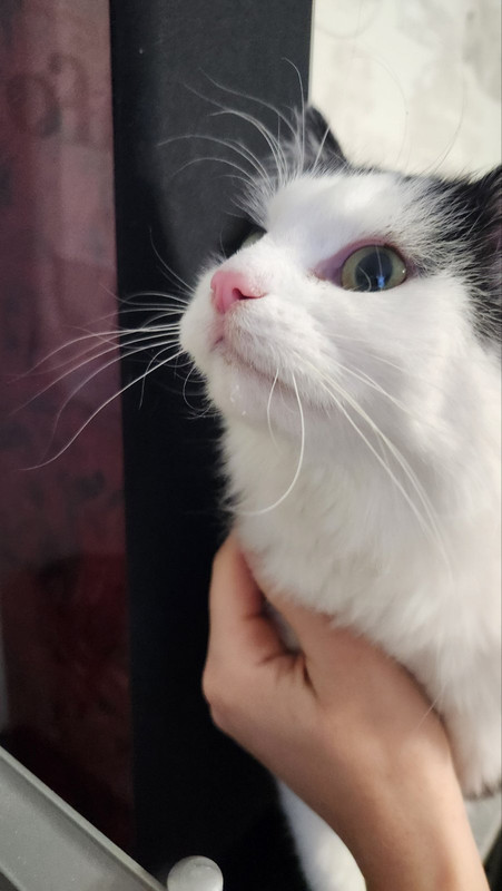 IMG-7ece88e5b09788e854e2410abce15bda-V