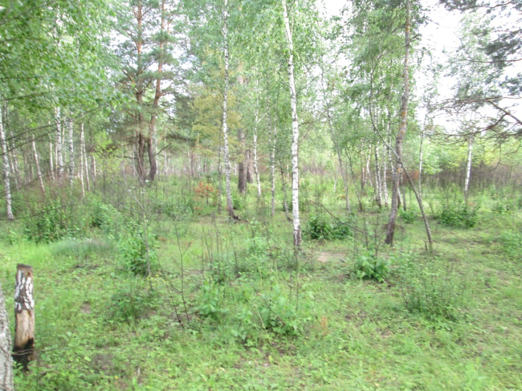 IMG_0224