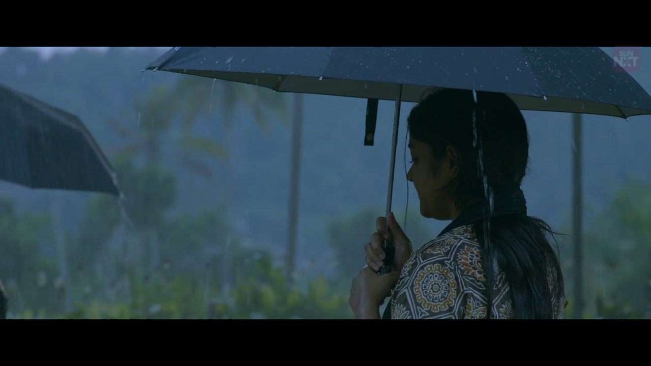 vlcsnap 2026 02 11 15h48m42s404