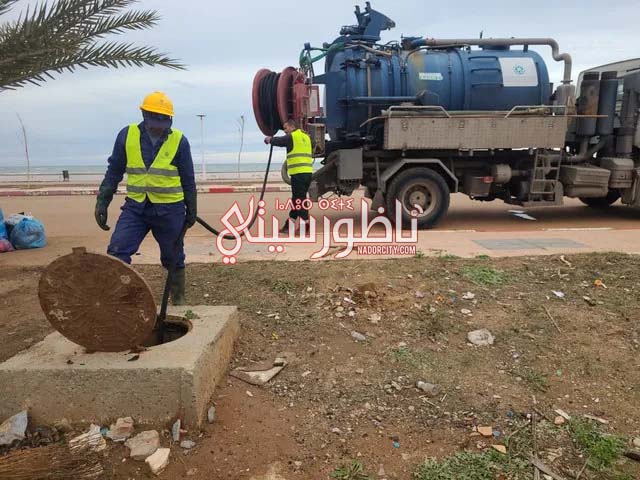 606392579-1684040682979464-7108582549888591895-n