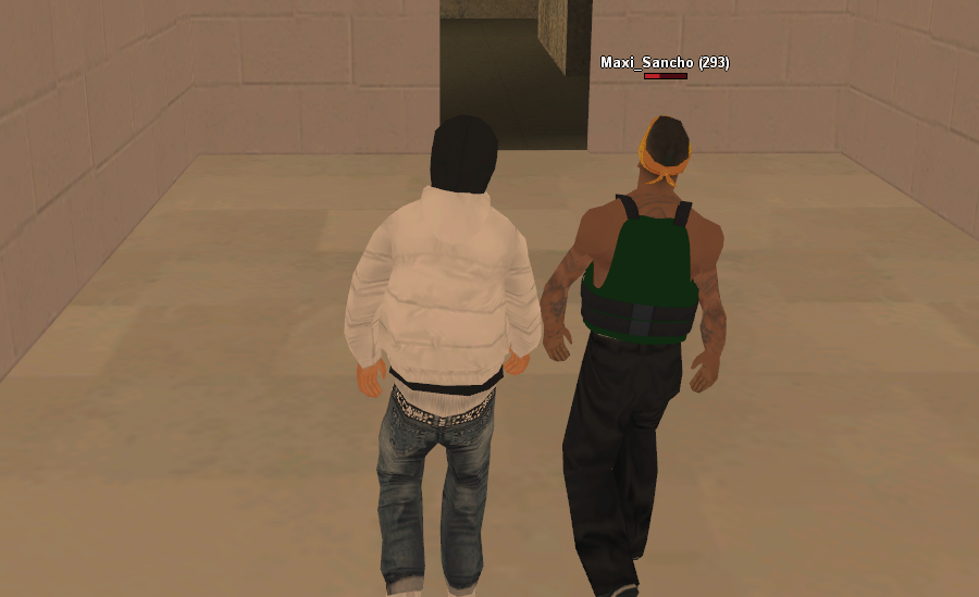 SS8.png