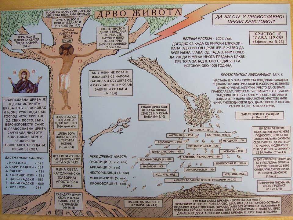 [Слика: IMG-c63974e5e244e67b1e663745e80573b0-V.jpg]