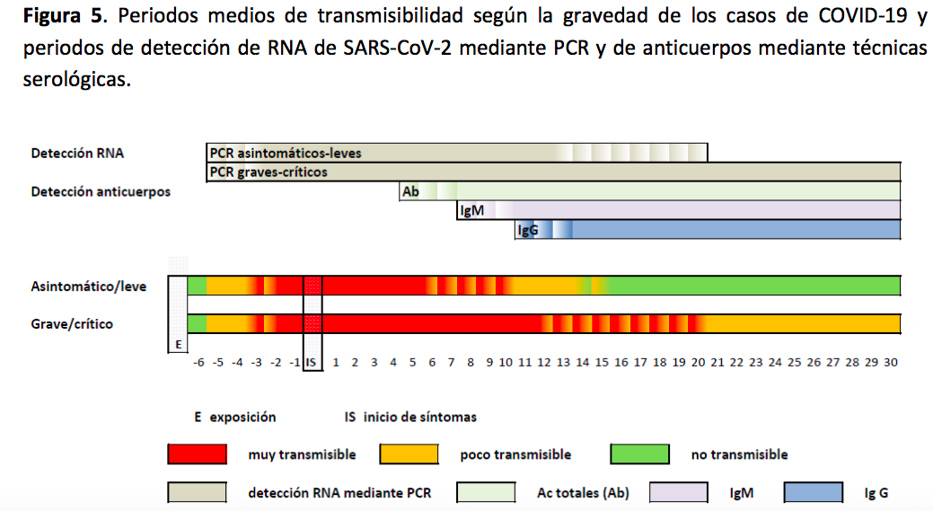 Captura de pantalla 2020-09-13 a las 9.40.51