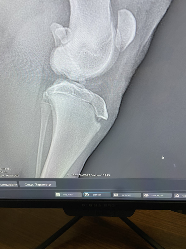 33811840-3604-48E0-8DEF-B96EDFDF37EC