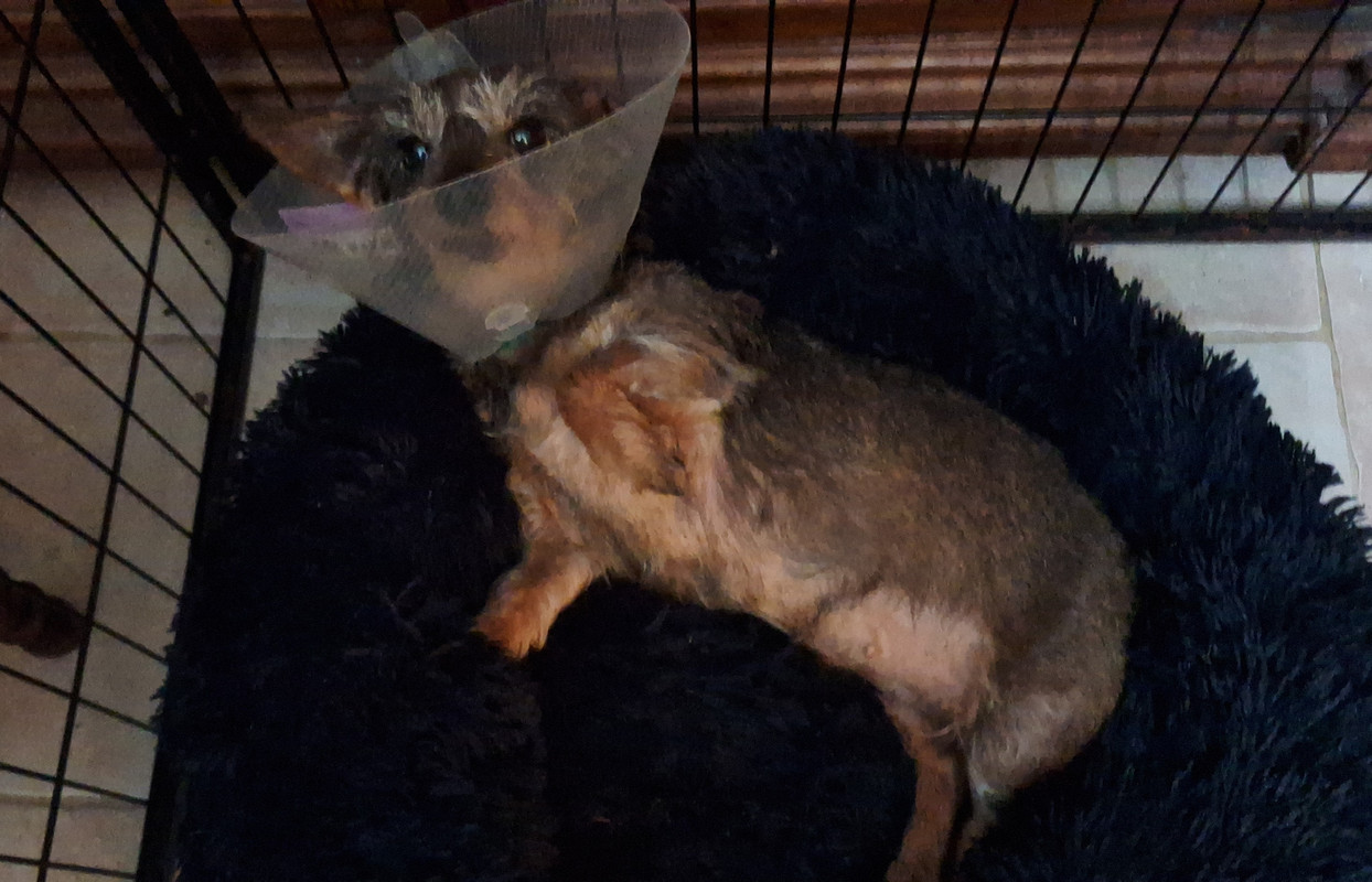 [Image: 20250308-204800.jpg]