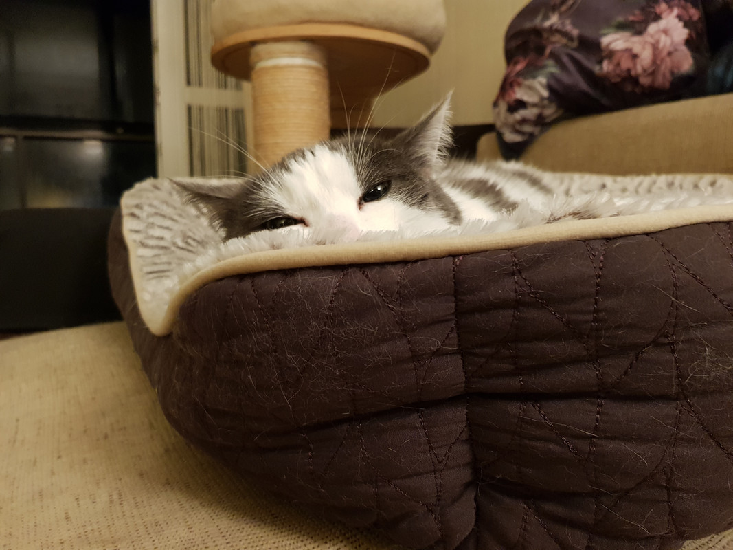 20201110-050447.jpg