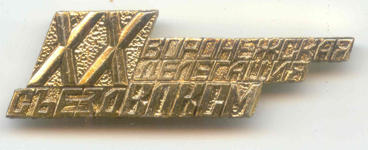 Воронежская делегация