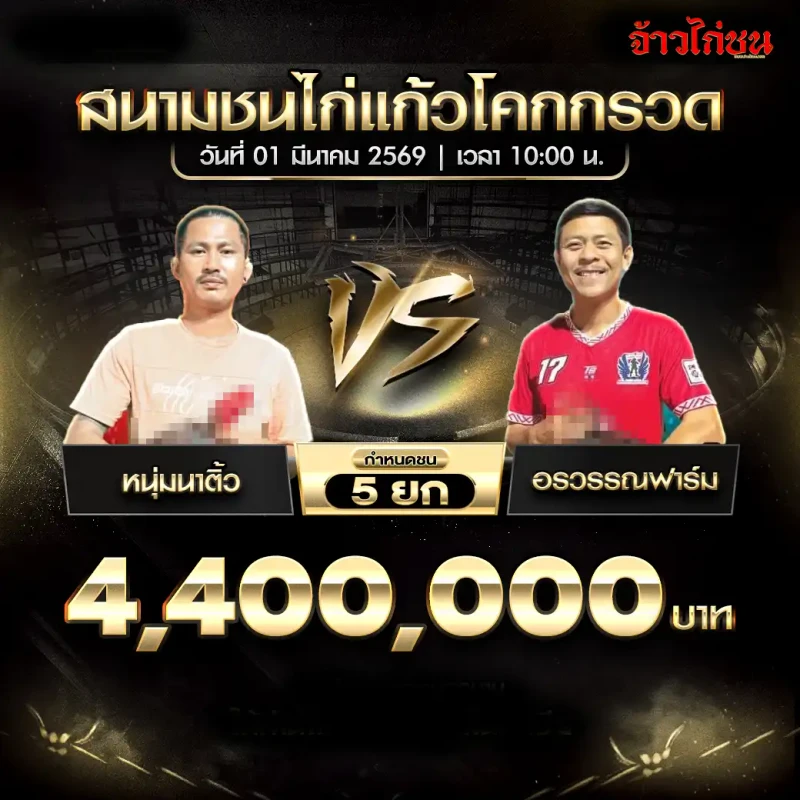 โปรแกรมไก่ชน แก้วโคกกรวด 1 มีนาคม 2569 : หนุ่มนาต vs อรวรรณฟาร์ม ชิง 4,400,000 บาท