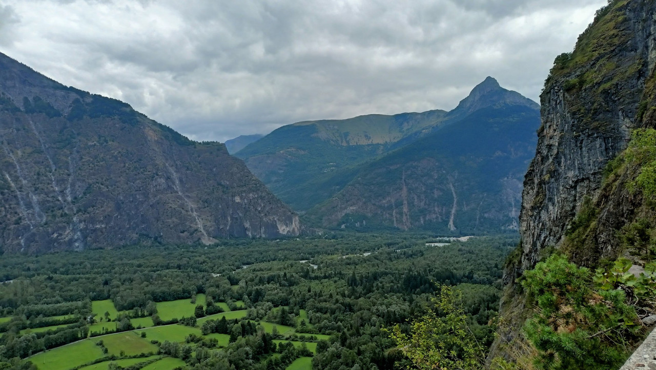 IMG20250726131259 (Large)